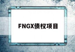 FNGX债权项目