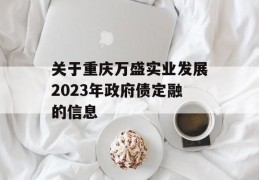 关于重庆万盛实业发展2023年政府债定融的信息