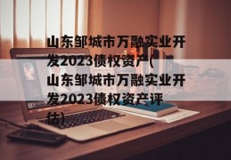 山东邹城市万融实业开发2023债权资产(山东邹城市万融实业开发2023债权资产评估)