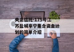 央企信托-175号江苏盐城阜宁集合资金计划的简单介绍