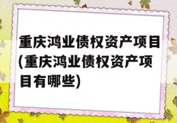 重庆鸿业债权资产项目(重庆鸿业债权资产项目有哪些)