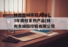 林州市城市投资2023年债权系列产品(林州市城投控股有限公司)