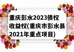 重庆彭水2023债权收益权(重庆市彭水县2021年重点项目)