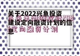 关于2022兴鱼投资建设定向融资计划的信息