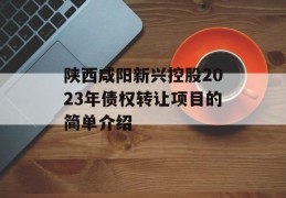 陕西咸阳新兴控股2023年债权转让项目的简单介绍