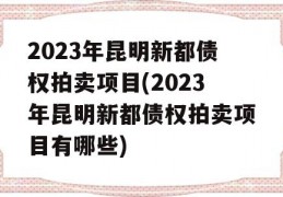 2023年昆明新都债权拍卖项目(2023年昆明新都债权拍卖项目有哪些)