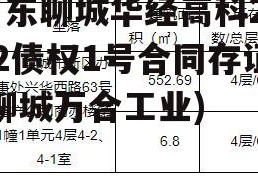 山东聊城华经高科2022债权1号合同存证(聊城万合工业)