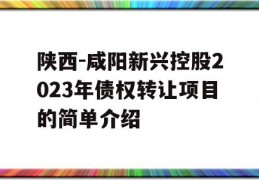 陕西-咸阳新兴控股2023年债权转让项目的简单介绍