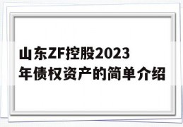 山东ZF控股2023年债权资产的简单介绍