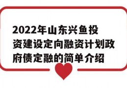 2022年山东兴鱼投资建设定向融资计划政府债定融的简单介绍