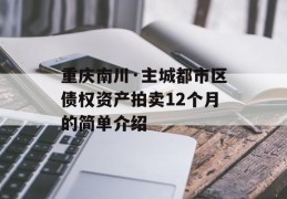 重庆南川·主城都市区债权资产拍卖12个月的简单介绍