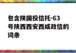 包含陕国投信托-63号陕西西安西咸政信的词条