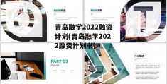 青岛融学2022融资计划(青岛融学2022融资计划书)