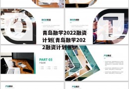 青岛融学2022融资计划(青岛融学2022融资计划书)