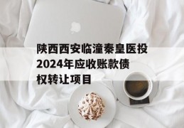 陕西西安临潼秦皇医投2024年应收账款债权转让项目