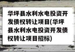 华坪县水利水电投资开发债权转让项目(华坪县水利水电投资开发债权转让项目招标)