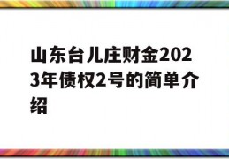 山东台儿庄财金2023年债权2号的简单介绍