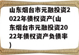 山东烟台市元融投资2022年债权资产(山东烟台市元融投资2022年债权资产负债率)