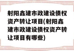 射阳鑫建市政建设债权资产转让项目(射阳鑫建市政建设债权资产转让项目有哪些)