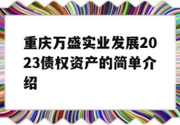 重庆万盛实业发展2023债权资产的简单介绍