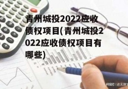 青州城投2022应收债权项目(青州城投2022应收债权项目有哪些)