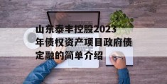 山东泰丰控股2023年债权资产项目政府债定融的简单介绍