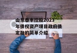 山东泰丰控股2023年债权资产项目政府债定融的简单介绍