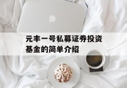 元丰一号私募证券投资基金的简单介绍