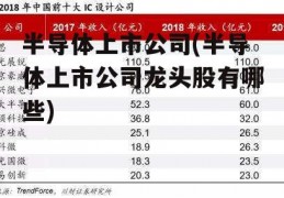 半导体上市公司(半导体上市公司龙头股有哪些)