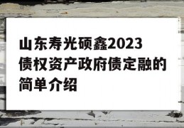 山东寿光硕鑫2023债权资产政府债定融的简单介绍