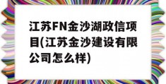 江苏FN金沙湖政信项目(江苏金沙建设有限公司怎么样)