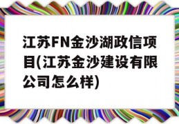 江苏FN金沙湖政信项目(江苏金沙建设有限公司怎么样)