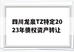 四川龙泉TZ特定2023年债权资产转让