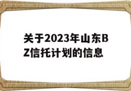 关于2023年山东BZ信托计划的信息