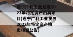 遂宁广利工业发展2023年特定资产拍卖项目(遂宁广利工业发展2023年特定资产拍卖项目公告)