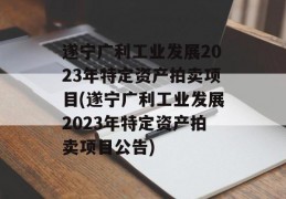 遂宁广利工业发展2023年特定资产拍卖项目(遂宁广利工业发展2023年特定资产拍卖项目公告)