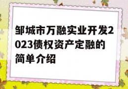 邹城市万融实业开发2023债权资产定融的简单介绍