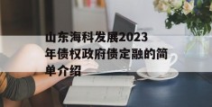 山东海科发展2023年债权政府债定融的简单介绍