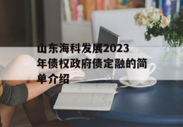 山东海科发展2023年债权政府债定融的简单介绍