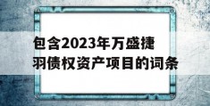 包含2023年万盛捷羽债权资产项目的词条