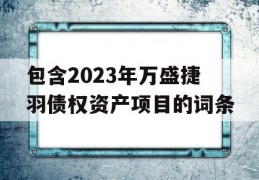 包含2023年万盛捷羽债权资产项目的词条