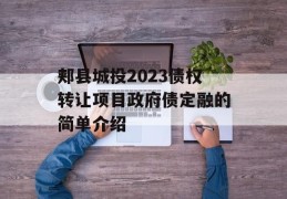 郏县城投2023债权转让项目政府债定融的简单介绍