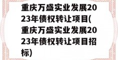 重庆万盛实业发展2023年债权转让项目(重庆万盛实业发展2023年债权转让项目招标)