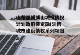 山东淄博博山城投债权计划政府债定融(淄博城市建设债权系列项目)