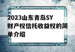 2023山东青岛SY财产权信托收益权的简单介绍