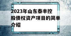 2023年山东泰丰控股债权资产项目的简单介绍