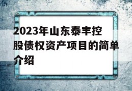 2023年山东泰丰控股债权资产项目的简单介绍