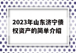 2023年山东济宁债权资产的简单介绍