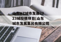 山东HZ城市发展2023城投债项目(山东城市发展集团有限公司)