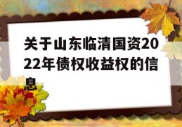 关于山东临清国资2022年债权收益权的信息